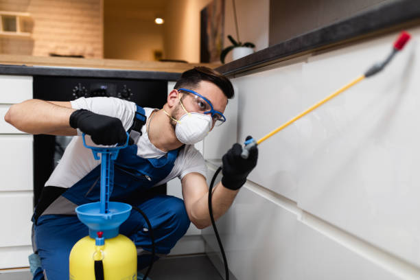 Best Emergency Pest Control  in Maumee, OH