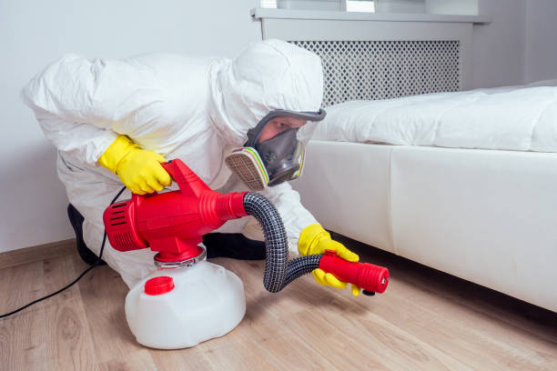 Best Pest Control for Businesses  in Maumee, OH