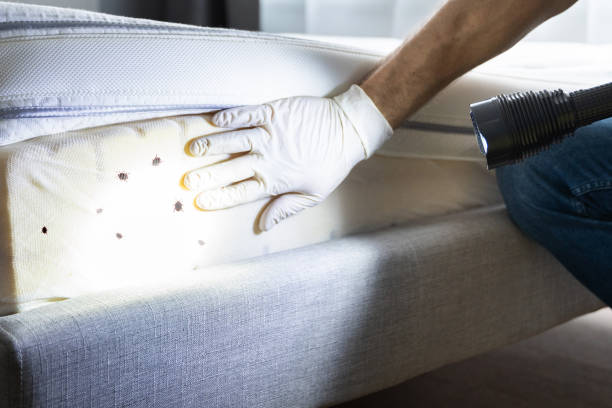 Best Best Pest Control Companies  in Maumee, OH