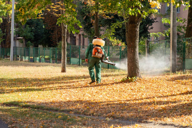 Best Wasp Removal Services  in Maumee, OH